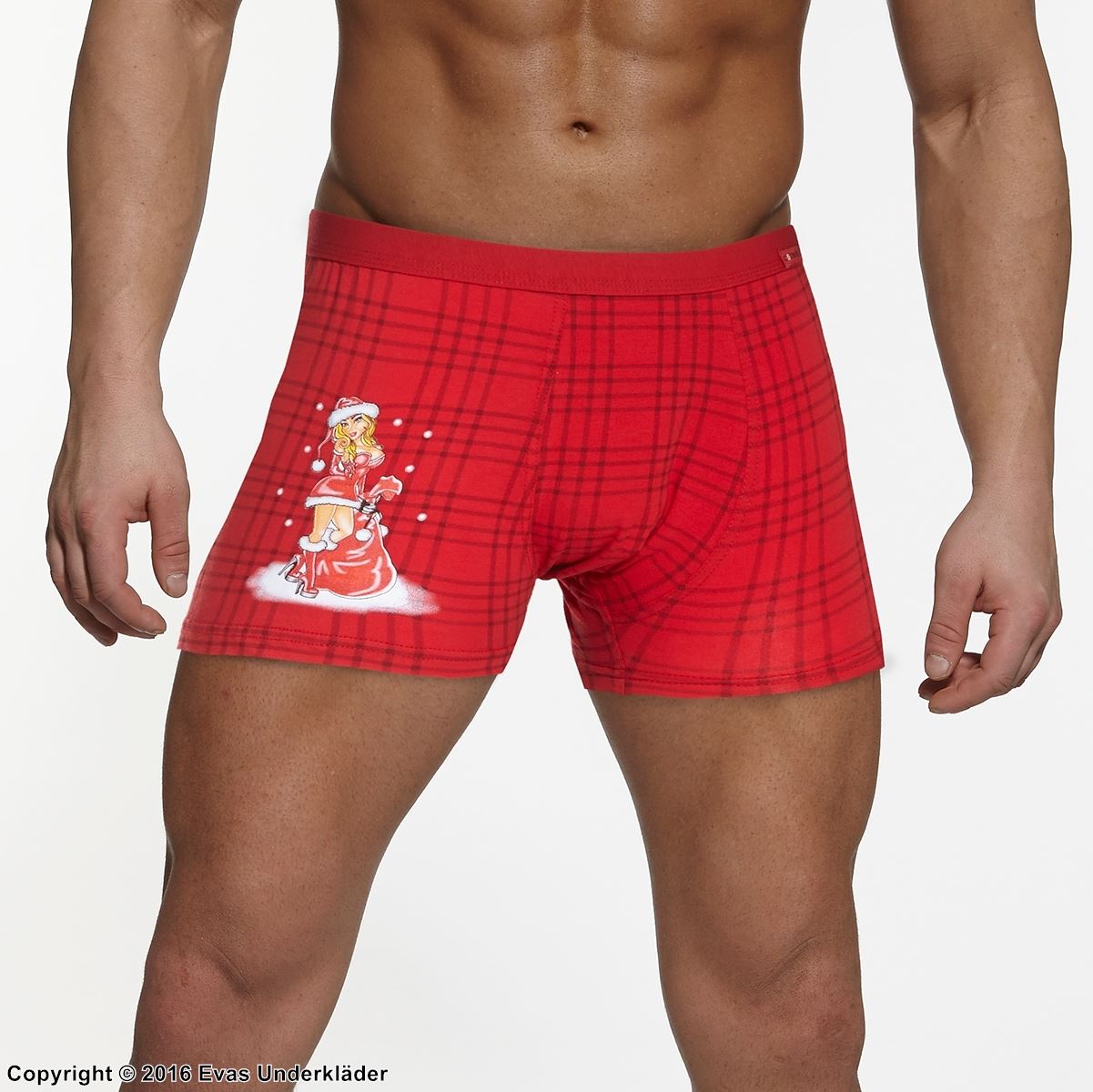 Boxershorts, Juletema